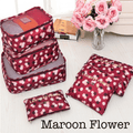 6 Piece Travel Organizer-6