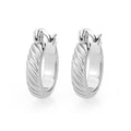 3W1745 - Imitation Rhodium Brass Earring with NoStone in No Stone-0