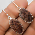 Natural Coffee Bean Jasper Earrings E-1001 SDE67386-0