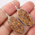 Natural Coquina Fossil Jasper India Earrings E-1001 SDE88303-0