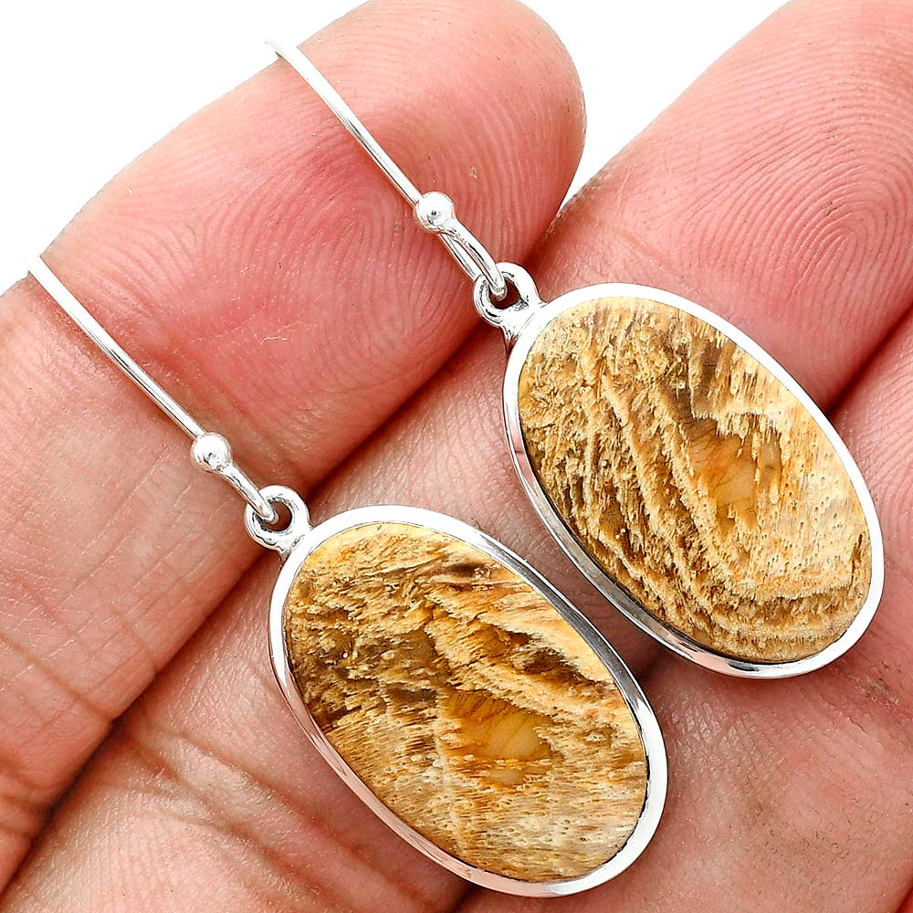 Natural Palm Root Fossil Agate Earrings E-1004 SDE88867-0