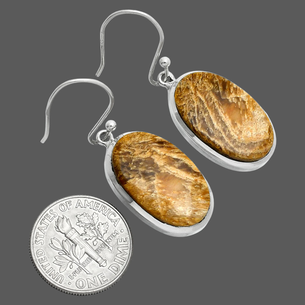 Natural Palm Root Fossil Agate Earrings E-1004 SDE88867-2