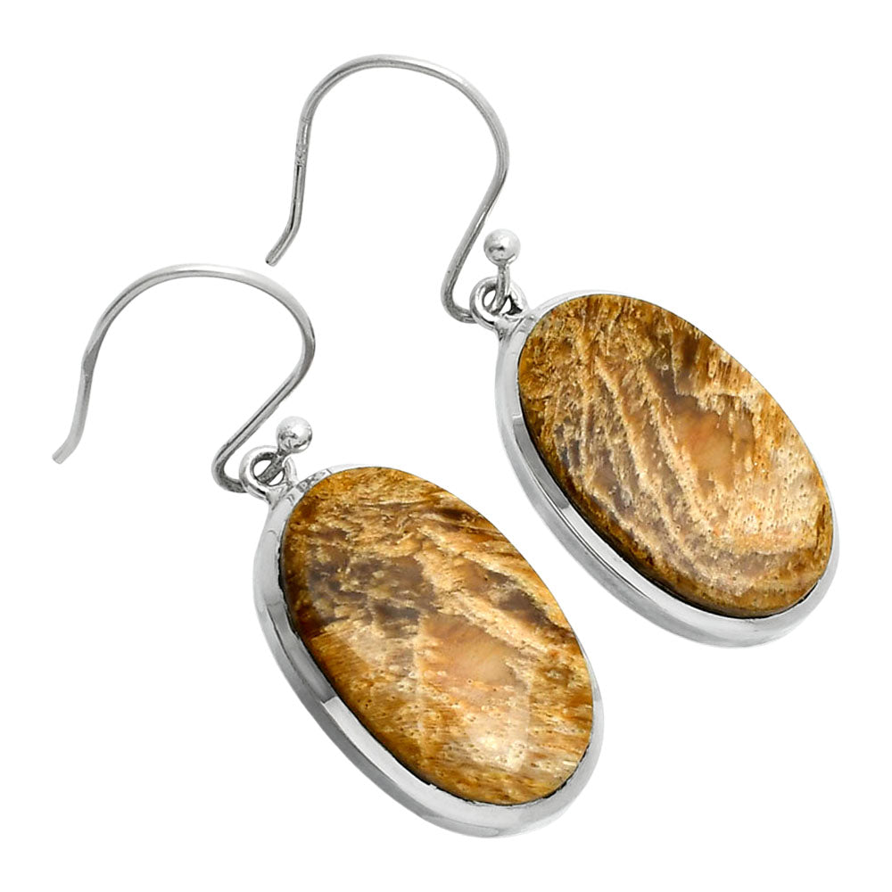 Natural Palm Root Fossil Agate Earrings E-1004 SDE88867-1
