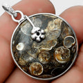 Natural Turtella Jasper - USA Pendant P-1700 SDP122567-0