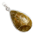 Flower Fossil Coral Pendant P-1124 SDP158764-0