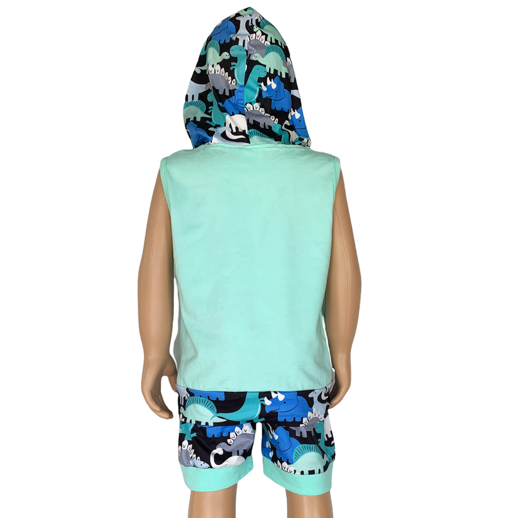 AL Limited Boys Dinosaur Hoodie Kangaroo Pocket Short Set Outfit-3