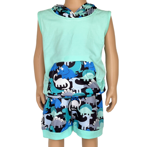 AL Limited Boys Dinosaur Hoodie Kangaroo Pocket Short Set Outfit-1